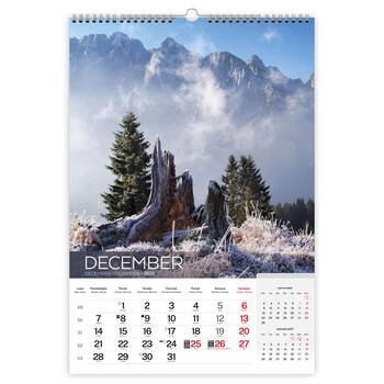 Koledar Alpe Slovenije - E