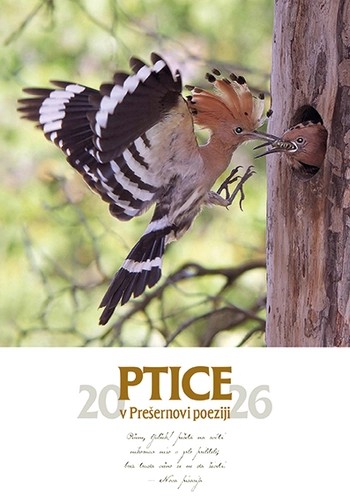 koledar ptice v presernovi poeziji - me