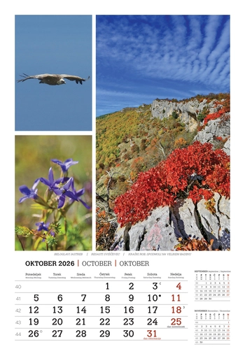 Koledar Lepote gora -  EC 