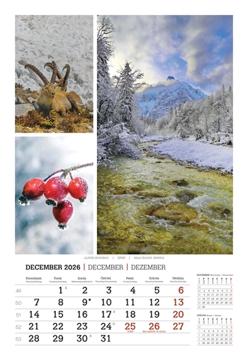 Koledar Lepote gora -  EC 