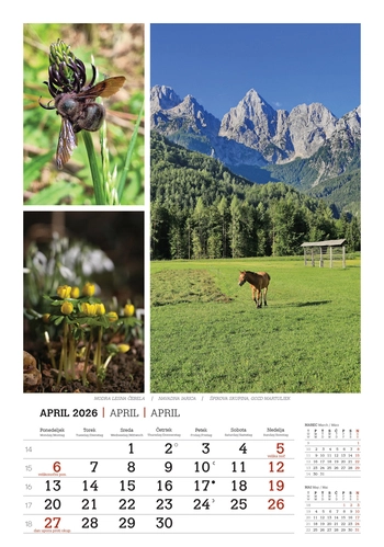 Koledar Lepote gora -  EC 