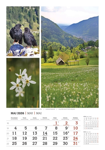 Koledar Lepote gora -  EC 