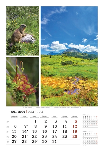 Koledar Lepote gora -  EC 