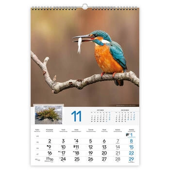 Koledar Naravni parki Slovenije - E  