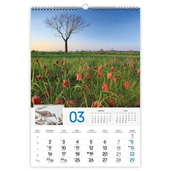 Koledar Naravni parki Slovenije - E  