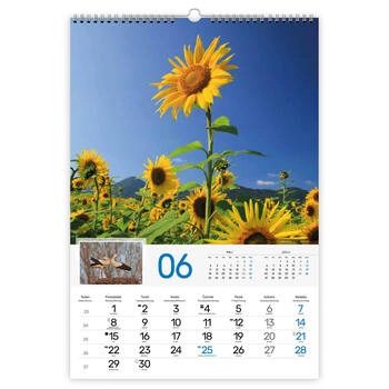 Koledar Naravni parki Slovenije - E  