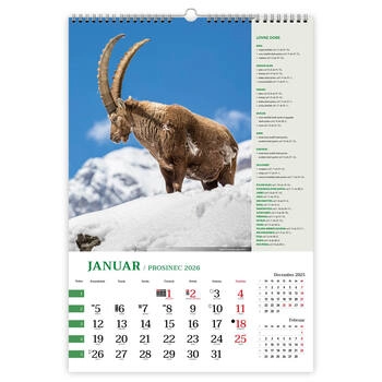 Koledar Lov z lovnimi dobami - E     