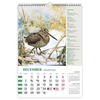 Koledar Lov z lovnimi dobami - E     