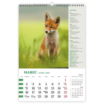 Koledar Lov z lovnimi dobami - E     