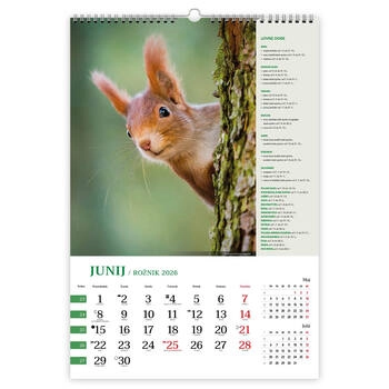 Koledar Lov z lovnimi dobami - E     