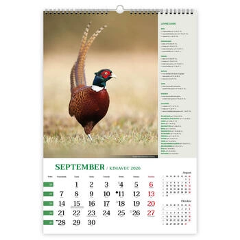 Koledar Lov z lovnimi dobami - E     