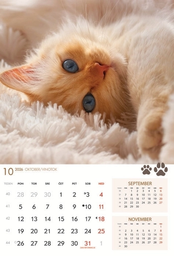 Koledar Kužki in mucki - SI