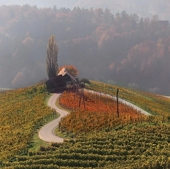 Slovenija - SI
