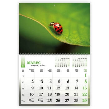 Koledar Narava, dvodelni- E        