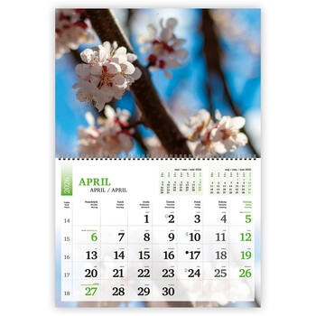 Koledar Narava, dvodelni- E        