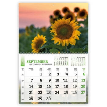 Koledar Narava, dvodelni- E        