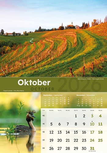 Koledar Dobro jutro Slovenija - ME