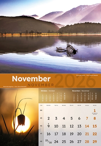 Koledar Dobro jutro Slovenija - ME