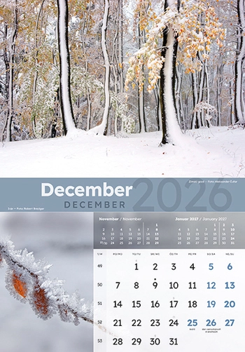 Koledar Dobro jutro Slovenija - ME