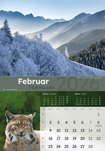 Koledar Dobro jutro Slovenija - ME