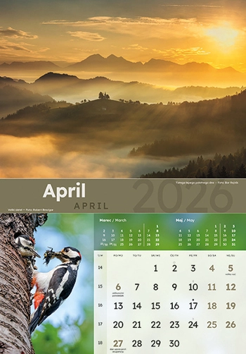 Koledar Dobro jutro Slovenija - ME