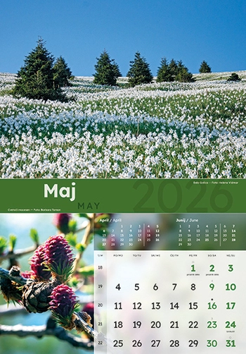 Koledar Dobro jutro Slovenija - ME